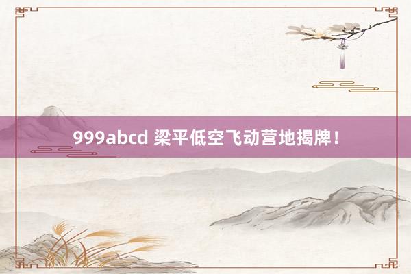 999abcd 梁平低空飞动营地揭牌！