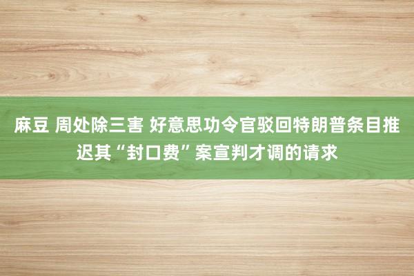 麻豆 周处除三害 好意思功令官驳回特朗普条目推迟其“封口费”案宣判才调的请求