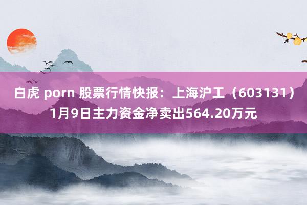 白虎 porn 股票行情快报：上海沪工（603131）1月9日主力资金净卖出564.20万元