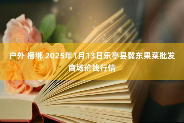 户外 捆绑 2025年1月13日乐亭县冀东果菜批发商场价钱行情