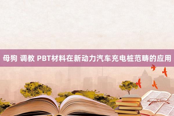 母狗 调教 PBT材料在新动力汽车充电桩范畴的应用