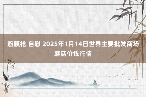 筋膜枪 自慰 2025年1月14日世界主要批发商场蘑菇价钱行情