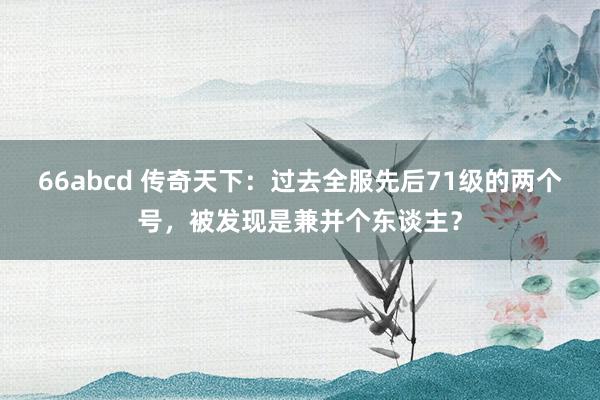 66abcd 传奇天下：过去全服先后71级的两个号，被发现是兼并个东谈主？