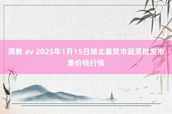 调教 av 2025年1月15日湖北襄樊市蔬菜批发市集价钱行情