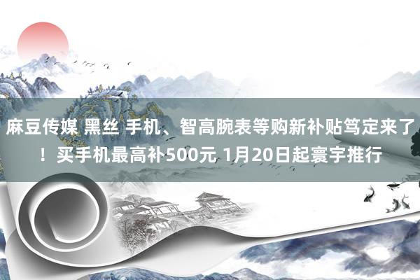 麻豆传媒 黑丝 手机、智高腕表等购新补贴笃定来了！买手机最高补500元 1月20日起寰宇推行